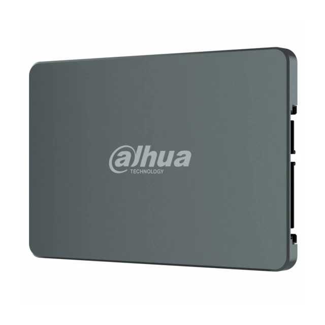 Dahua SSD-V800S256G