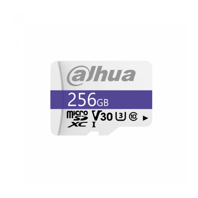 Dahua TF-C100/256GB