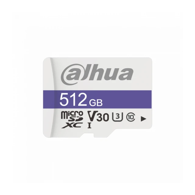 Dahua TF-C100/512GB