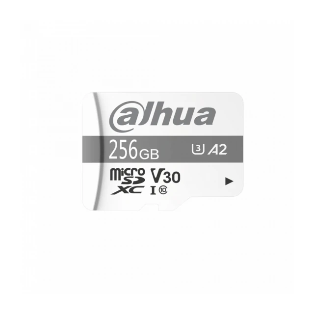 Dahua TF-P100/256GB